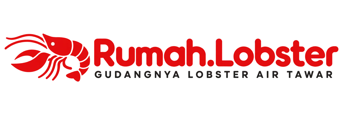 Rumah.Lobster — Gudangnya Lobster Air Tawar